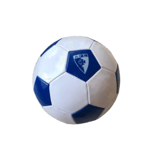 Bola Branca Anadia FC